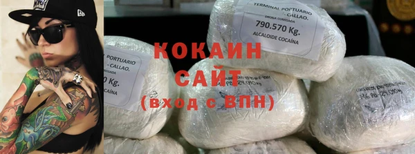 шишки Арсеньев