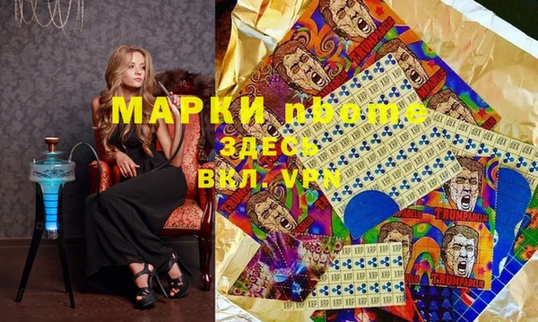 шишки Арсеньев