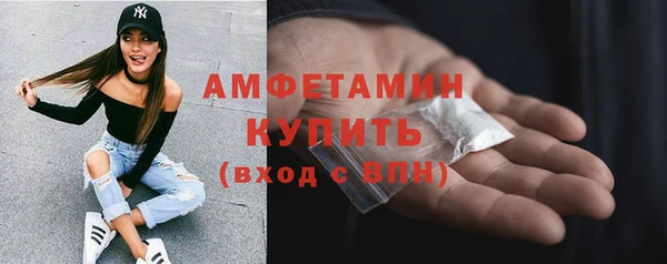 сатива Армянск