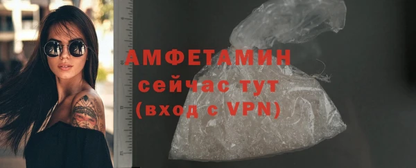шишки Арсеньев