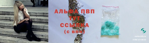 шишки Арсеньев