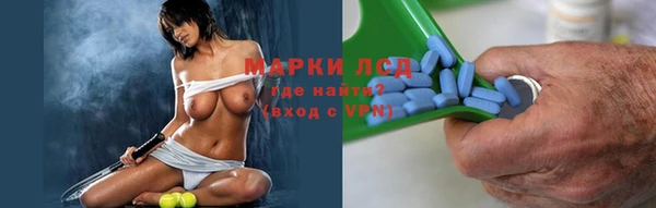сатива Армянск
