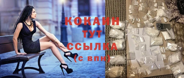 шишки Арсеньев